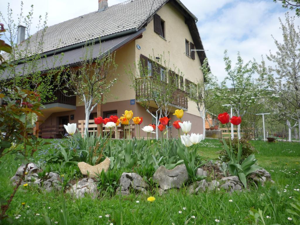 Guesthouse Anka Plitvica selo Εξωτερικό φωτογραφία